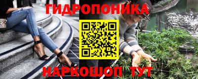 jwh Кинель