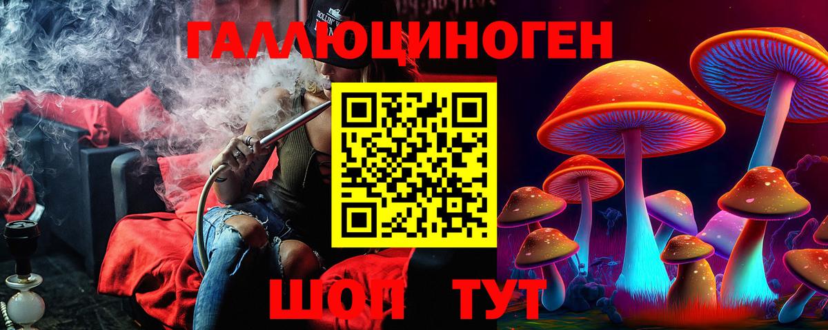 Галлюциногенные грибы GOLDEN TEACHER  Галлюциногенные грибы Psilocybe  Киселёвск  наркотики  Вход с VPN 
