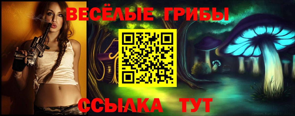 Псилоцибиновые грибы мухоморы Киселёвск